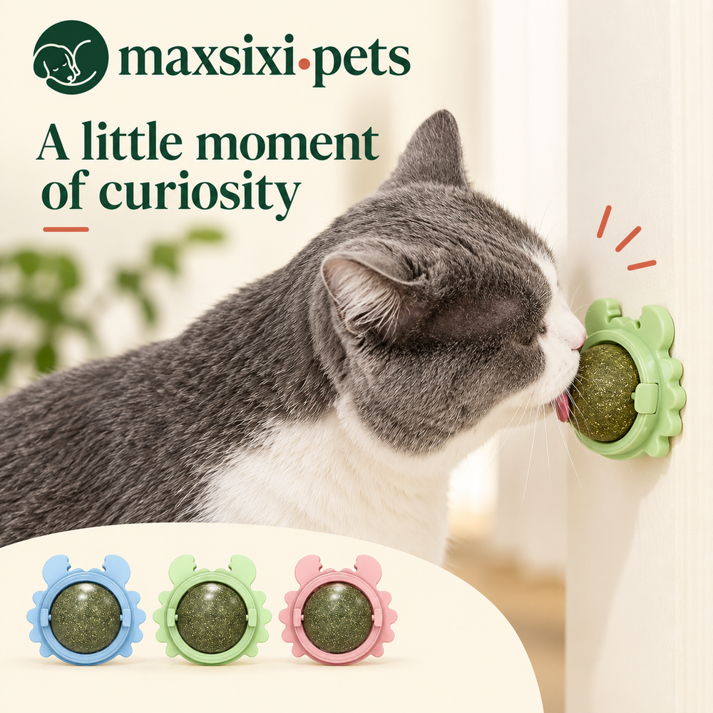 Catnip Wall Ball