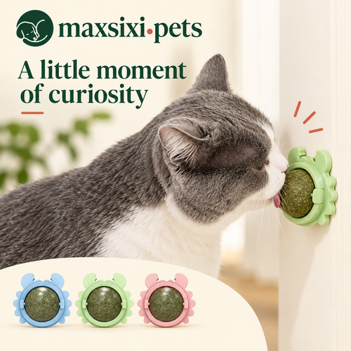 Catnip Wall Ball