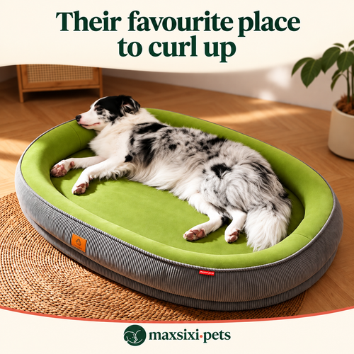 Beds & Comfort