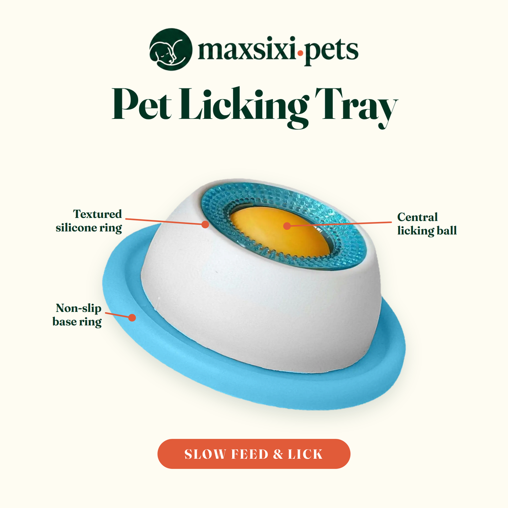 Dog Lick & Slow-Feeder Toy